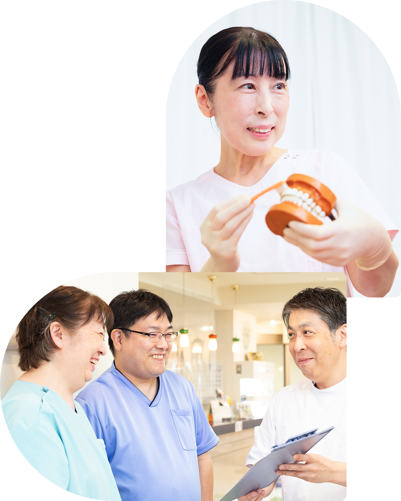 歯の模型を持って説明する歯科医師